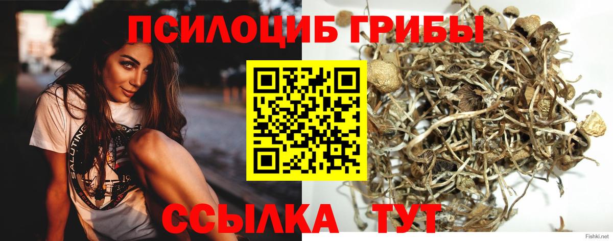 Галлюциногенные грибы MAGIC MUSHROOMS Кызыл