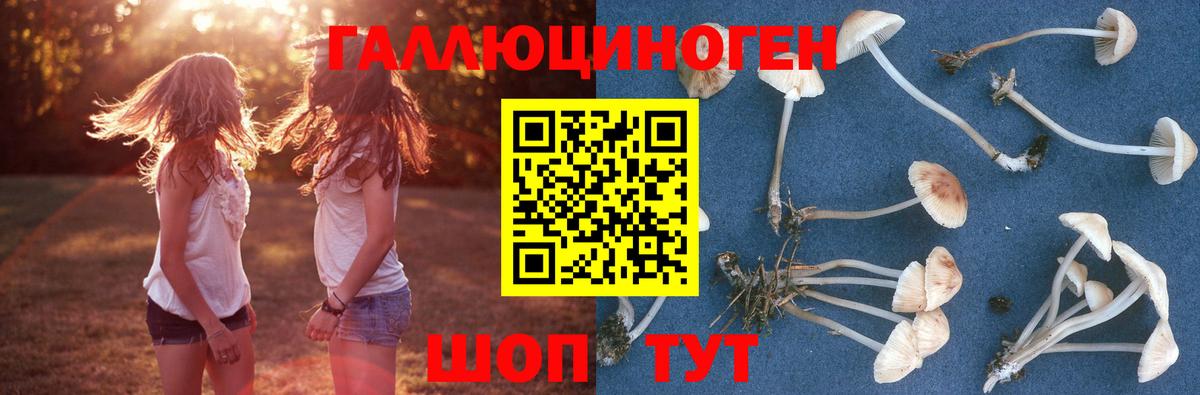 Кызыл  Галлюциногенные грибы мицелий  Псилоцибиновые грибы Magic Shrooms  Вход с VPN 